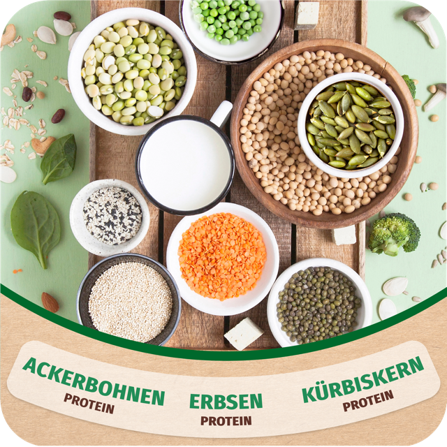 Vegan Protein Bananen Geschmack