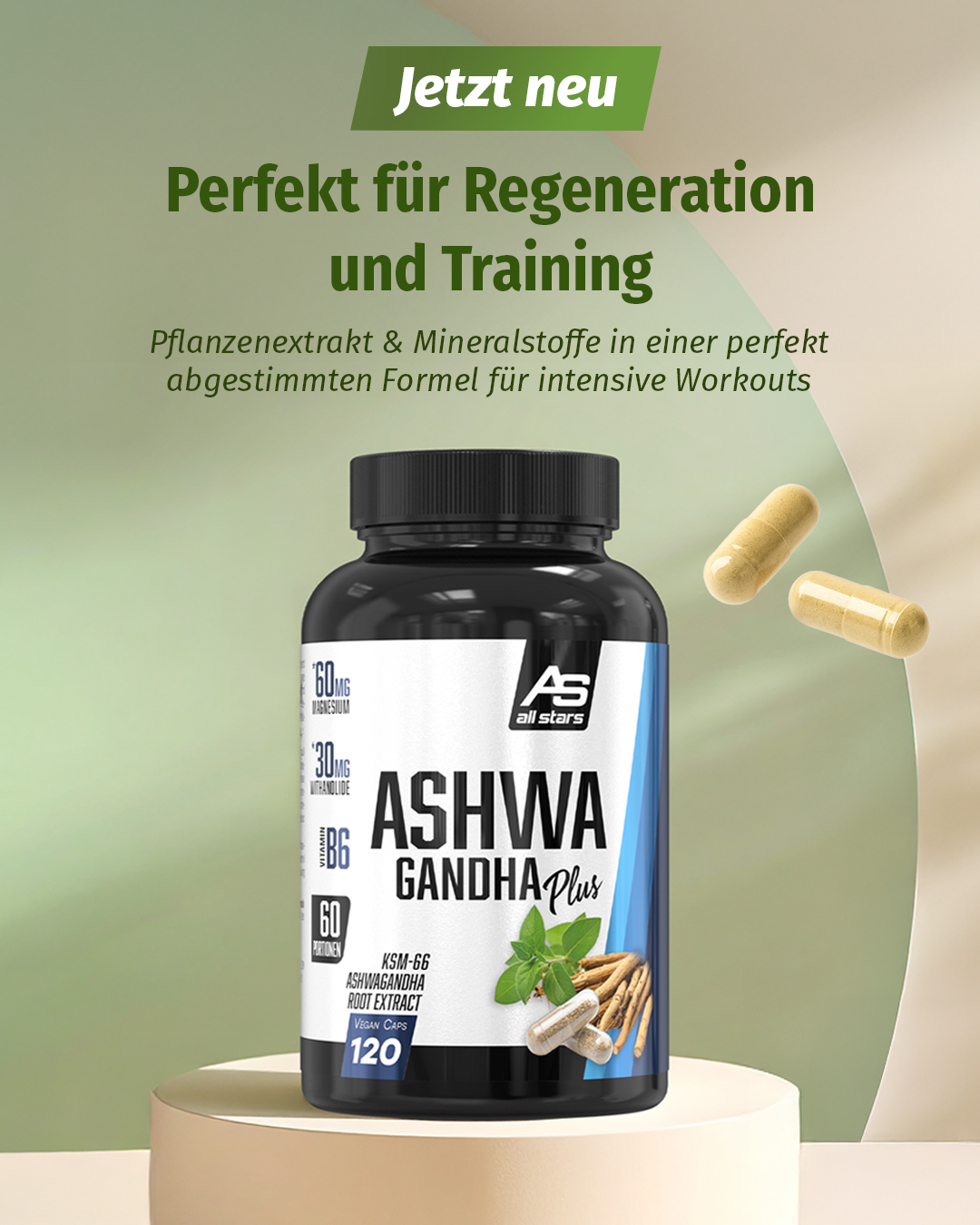 Ashwagandha Plus 